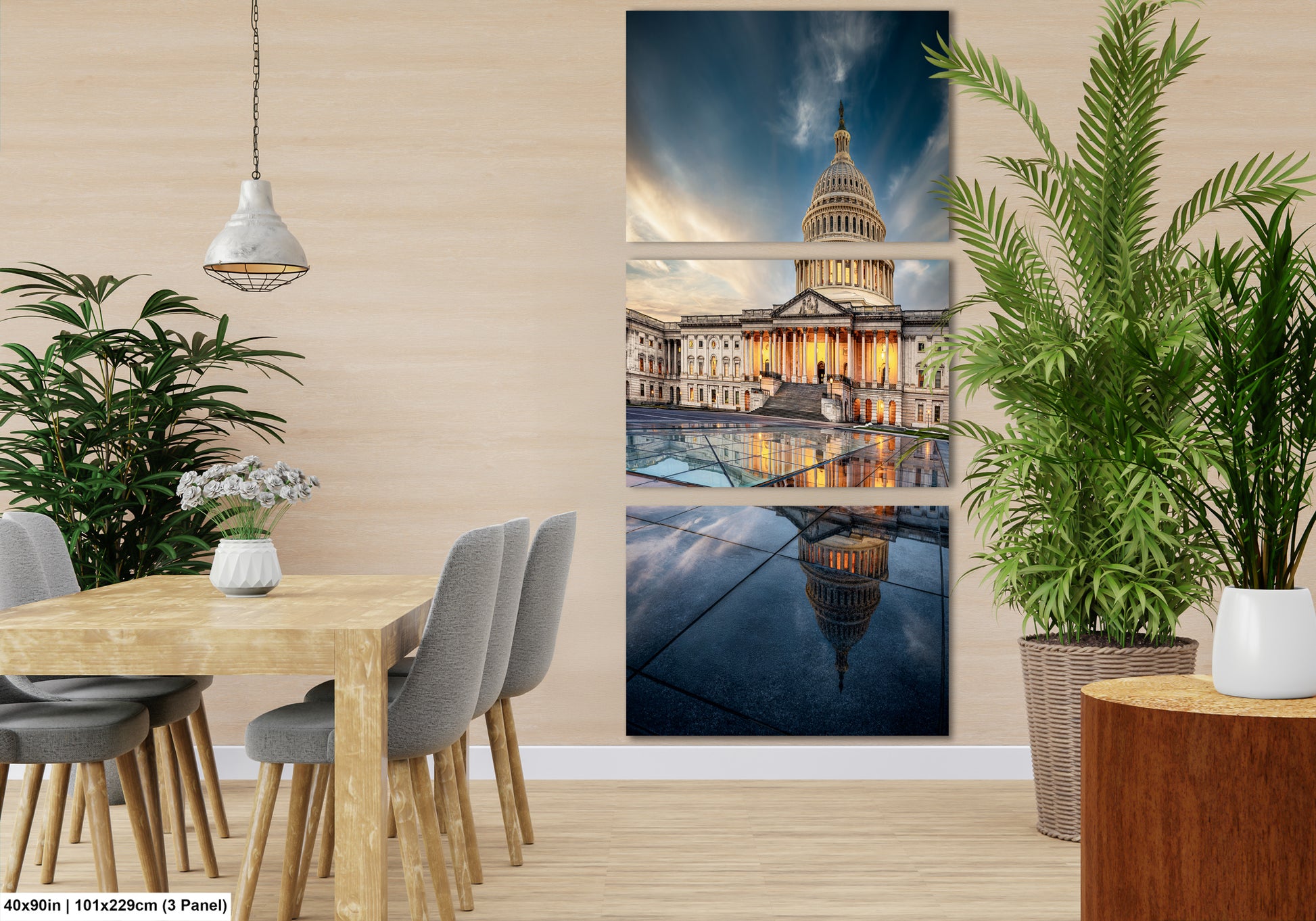 a picture of the capitol building in washington dc