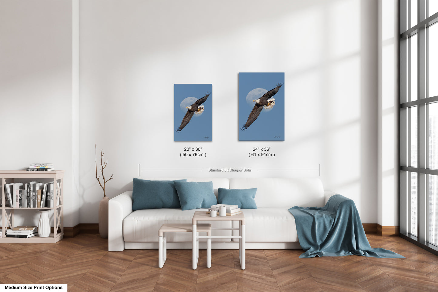 a living room with a white sofa, a coffee table, and a bookshelf. There are two framed pictures of a bald eagle in flight hanging on the wall above the sofa.