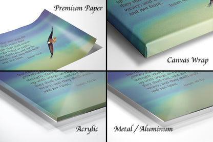 four different images of a book with a picture of a bird