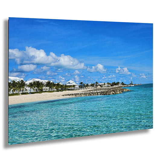 a view of a beach with palm trees in the background