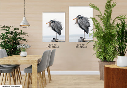 a room with a table and chairs and two pictures of birds on the wall