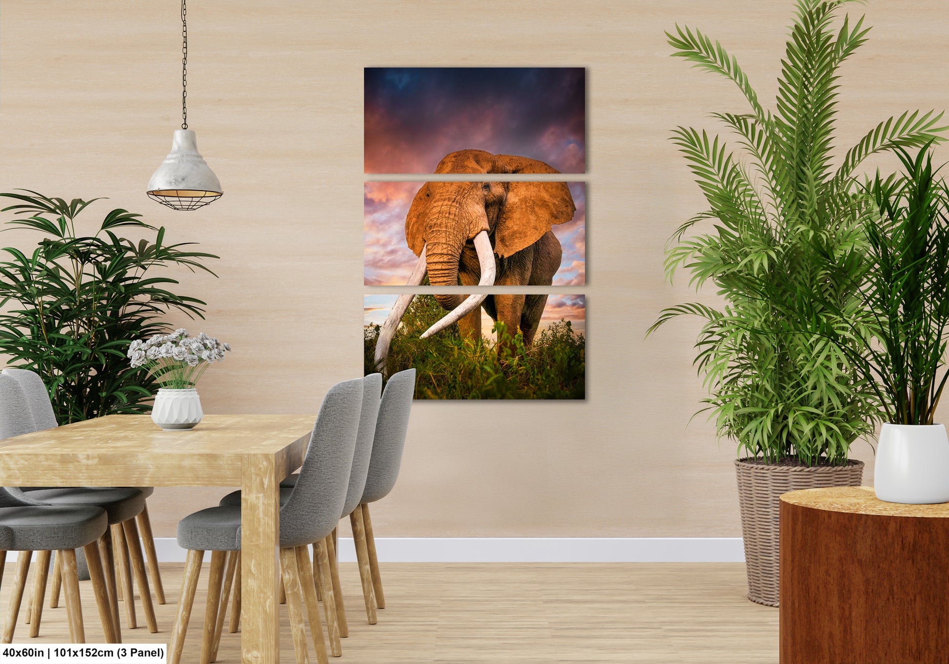 a picture of an elephant in a room