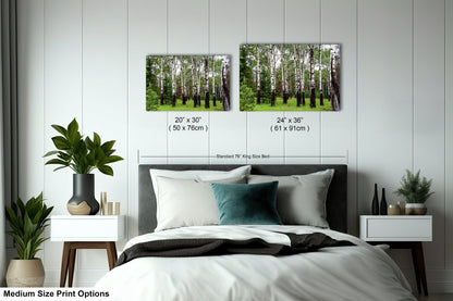 a bed room with a neatly made bed and two pictures on the wall