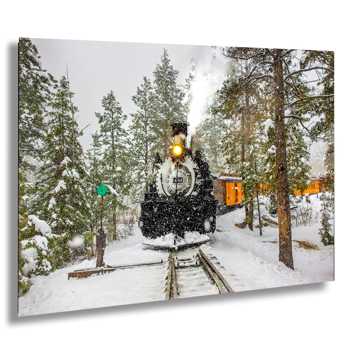 a train traveling through a forest covered in snow