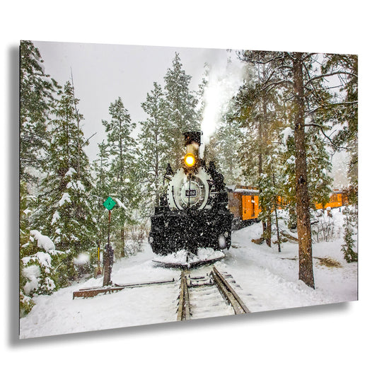 a train traveling through a forest covered in snow