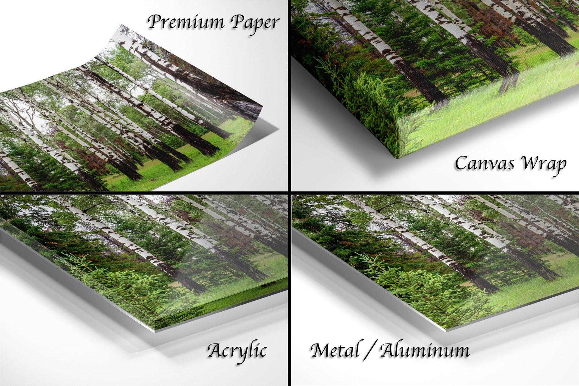 a series of four photos of trees and grass