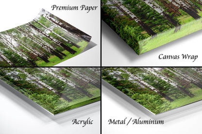a series of four photos of trees and grass