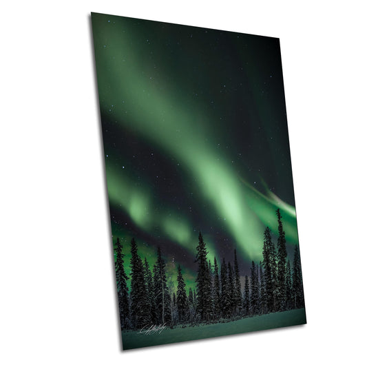 a painting of a green aurora bore in the night sky